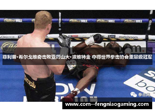 菲利普·希尔戈维奇击败亚历山大·波维特金 夺得世界拳击协会重量级冠军