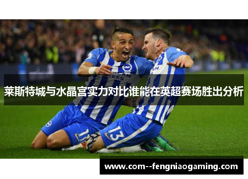 莱斯特城与水晶宫实力对比谁能在英超赛场胜出分析