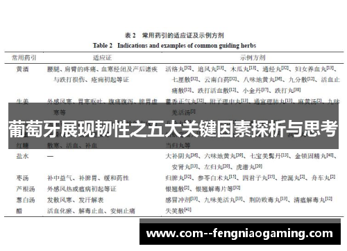 葡萄牙展现韧性之五大关键因素探析与思考