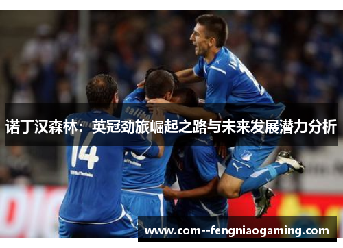 诺丁汉森林:英冠劲旅崛起之路与未来发展潜力分析 诺丁汉森林:英冠劲旅崛起之路与未来发展潜力分析