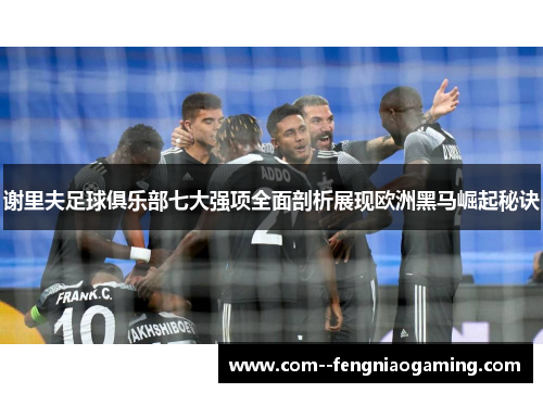 谢里夫足球俱乐部七大强项全面剖析展现欧洲黑马崛起秘诀 谢里夫足球俱乐部七大强项全面剖析展现欧洲黑马崛起秘诀