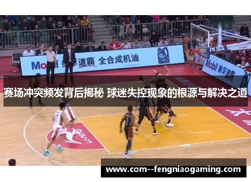 赛场冲突频发背后揭秘 球迷失控现象的根源与解决之道