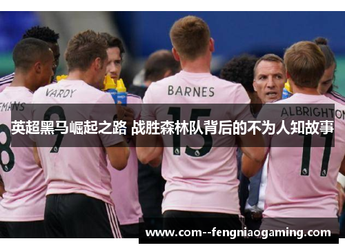 英超黑马崛起之路 战胜森林队背后的不为人知故事