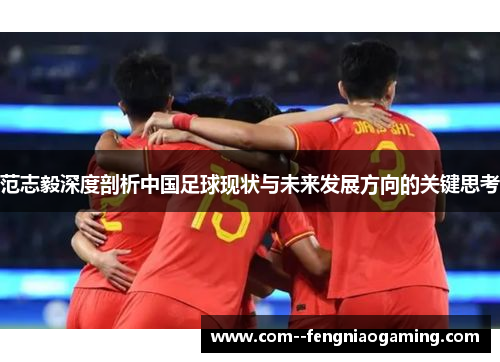 范志毅深度剖析中国足球现状与未来发展方向的关键思考 范志毅深度剖析中国足球现状与未来发展方向的关键思考
