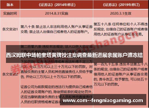 西汉姆联中场帕奎塔黄牌投注案调查最新进展亲属账户遭冻结 西汉姆联中场帕奎塔黄牌投注案调查最新进展亲属账户遭冻结