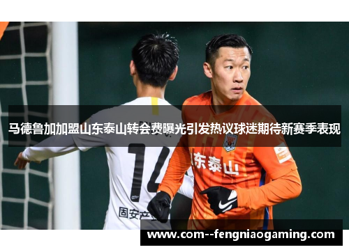 马德鲁加加盟山东泰山转会费曝光引发热议球迷期待新赛季表现