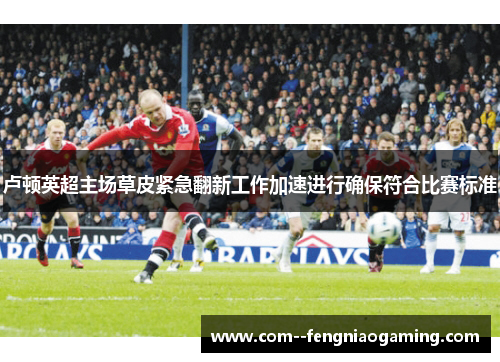 卢顿英超主场草皮紧急翻新工作加速进行确保符合比赛标准 卢顿英超主场草皮紧急翻新工作加速进行确保符合比赛标准